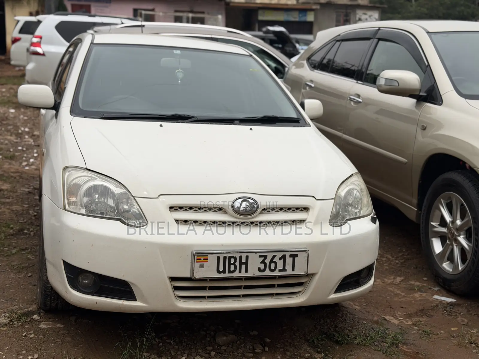 Toyota Allex 2006 White