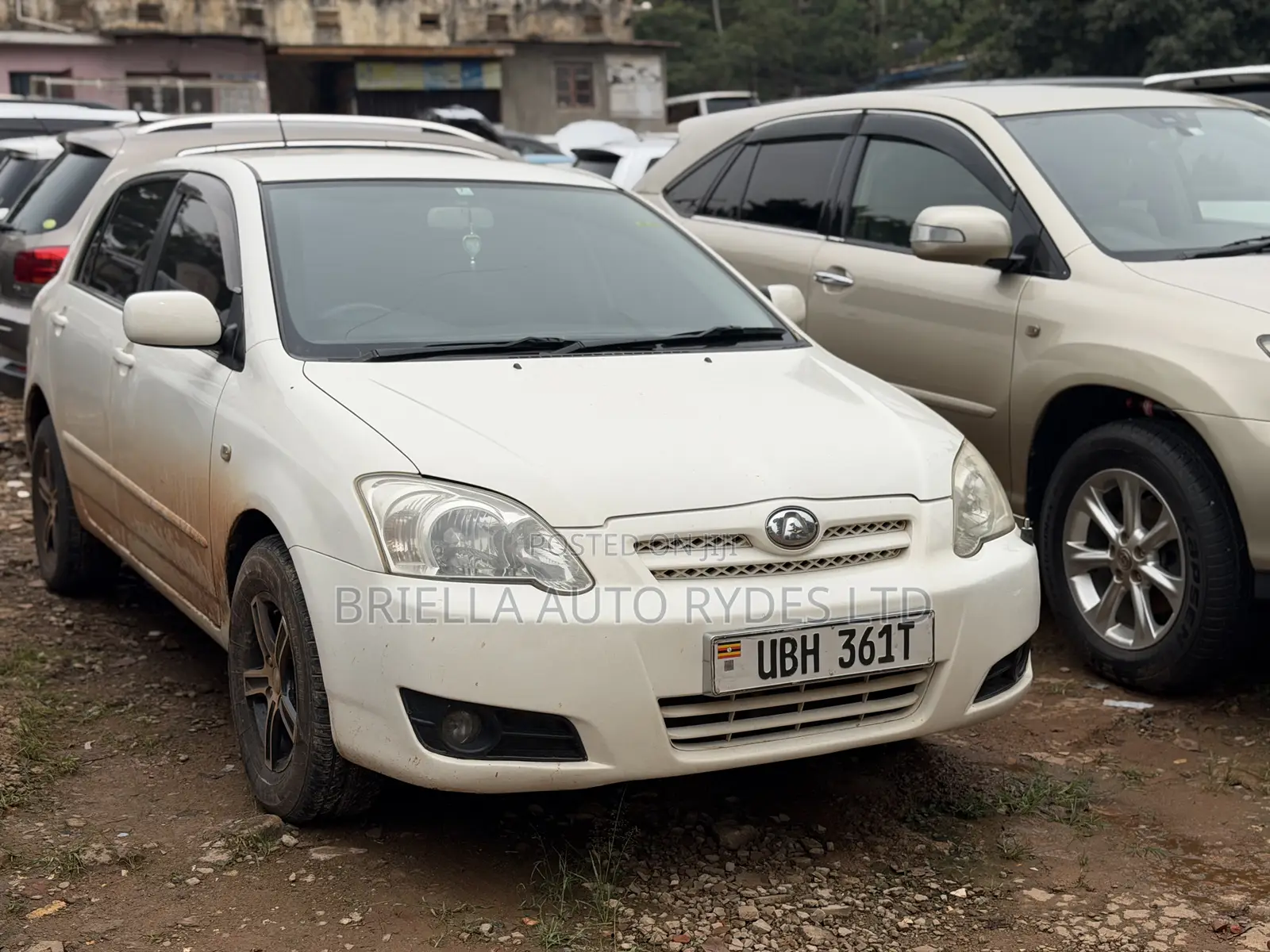Toyota Allex 2006 White