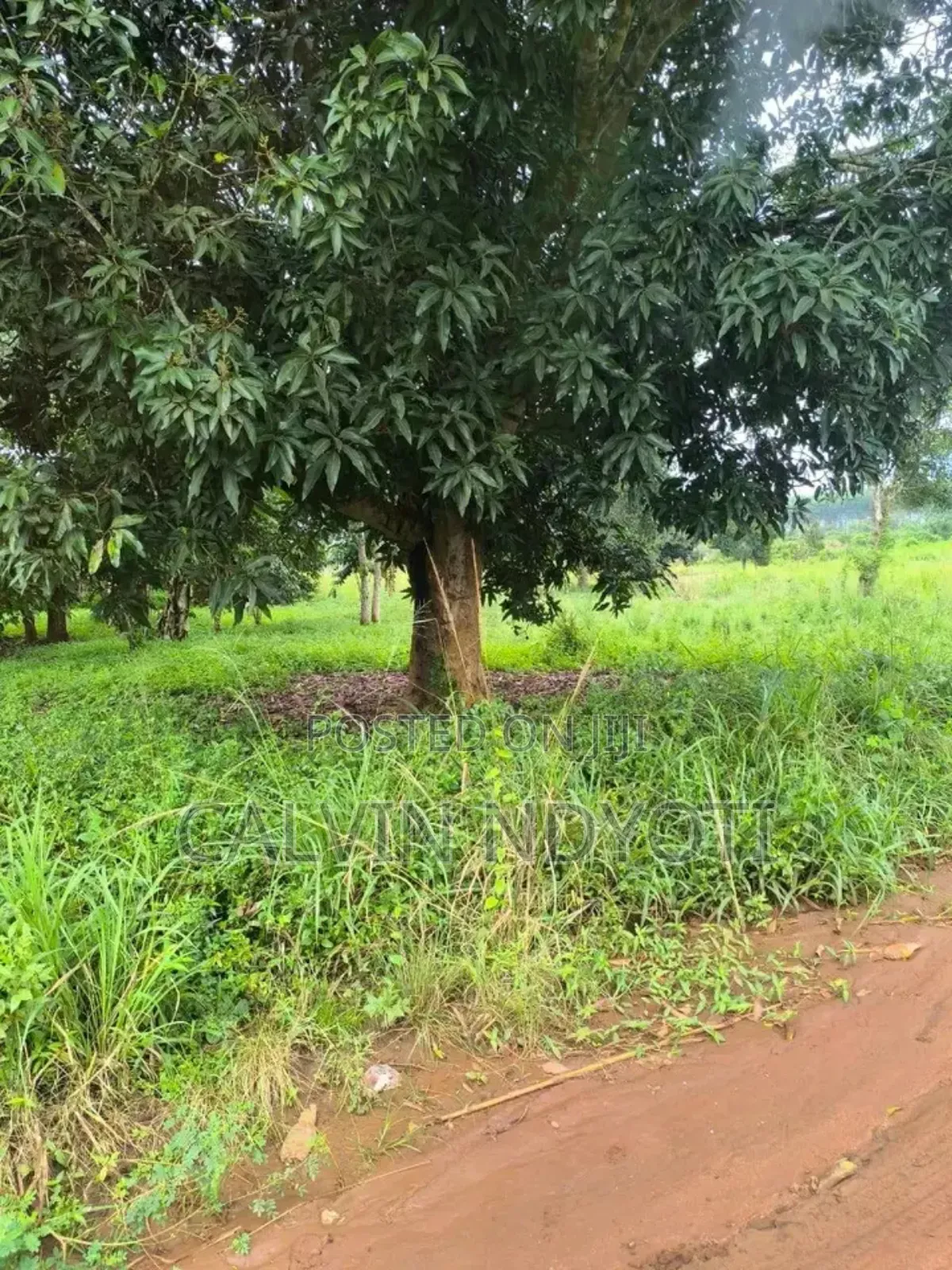 Land for Sale in Luwero Kakooge