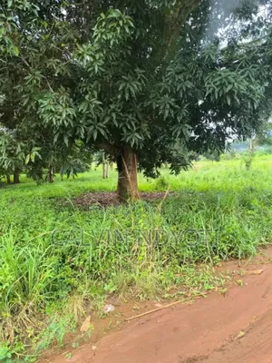 Land for Sale in Luwero Kakooge