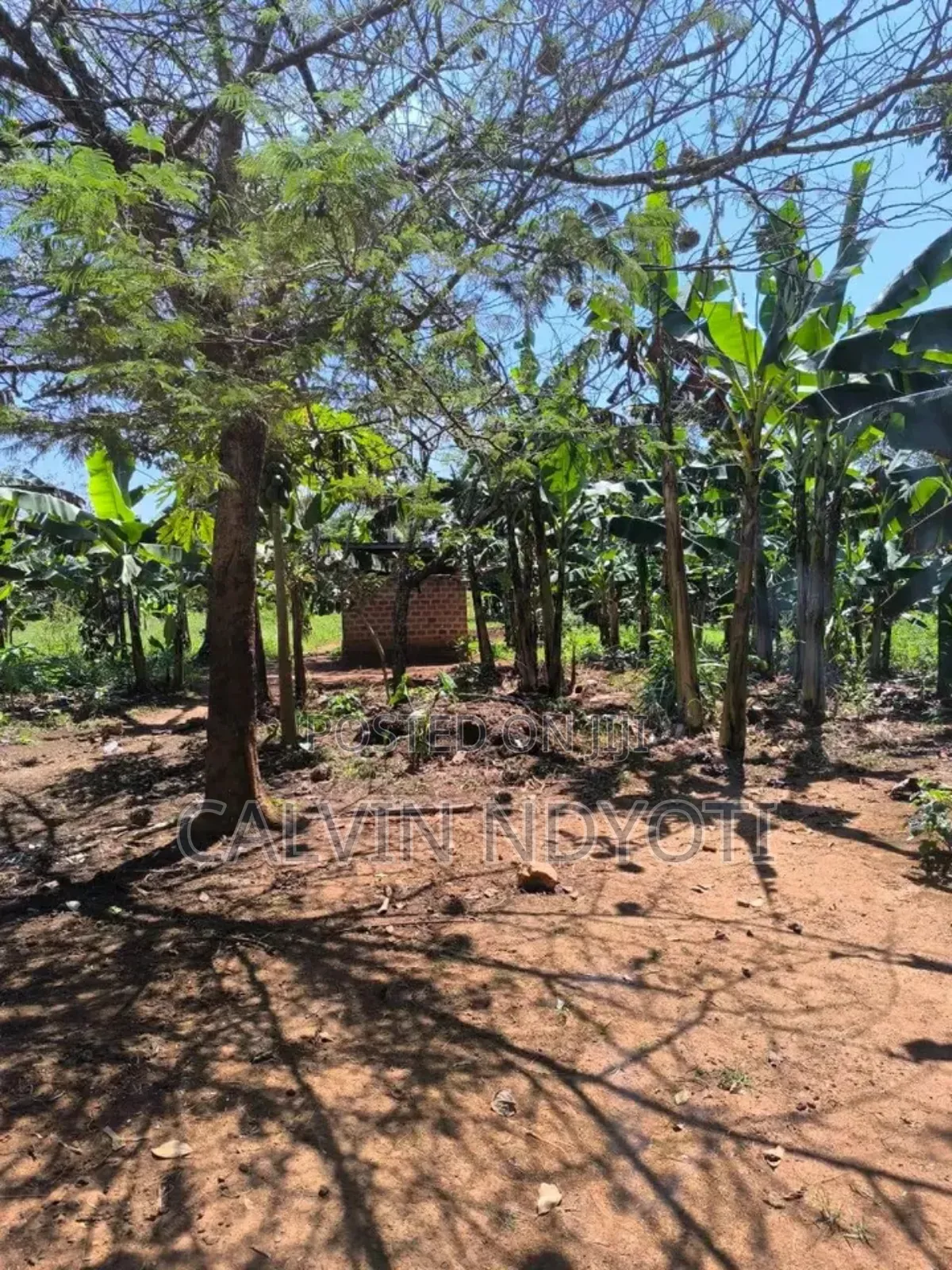 Land for Sale in Luwero Kakooge