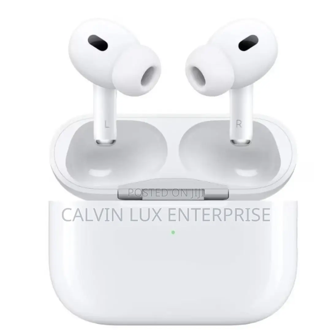 Airpods Pro and Leather Case
