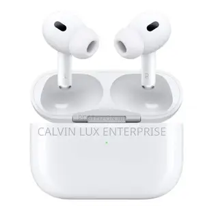 Airpods Pro and Leather Case