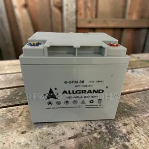 Allgrand 12v 38ah Pure Gel Inverter Battery