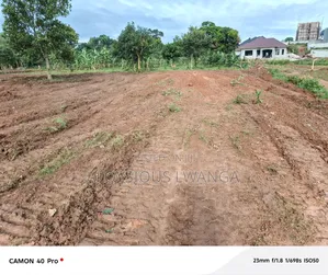Private Mailo Land