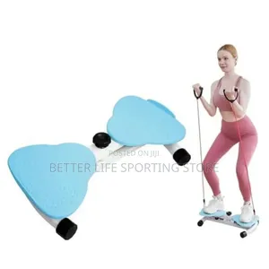 Waist Twister Exercise Machine For Home/Balance Board