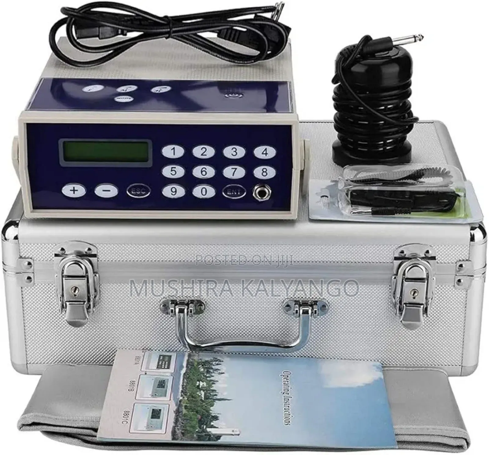 Foot Bath Ionic Detox Machine Dual Ionic Detox Foot Spa