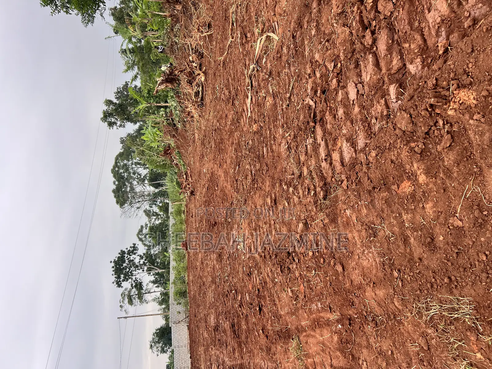 Land and Plots Land Title