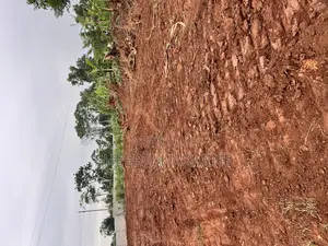 Land and Plots Land Title