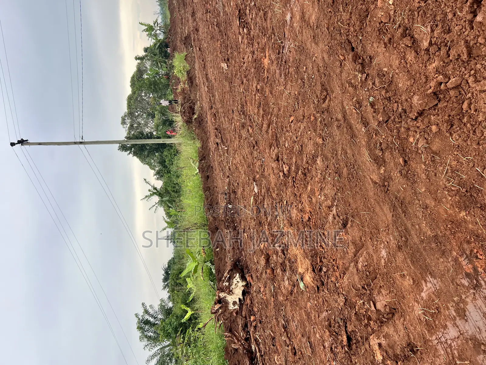 Land and Plots Land Title