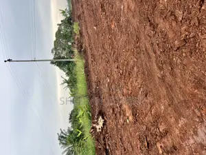 Land and Plots Land Title