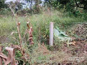 A Ready Mailoland Titled Acre in Wobulenzi Town Council for Sale 45m