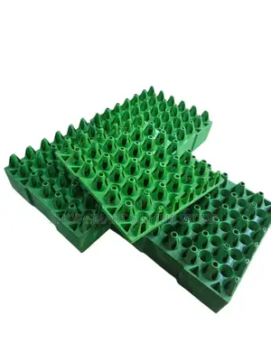 Green 60pcs Plastic Egg Trays Green 60pcs Plastic Egg Trays