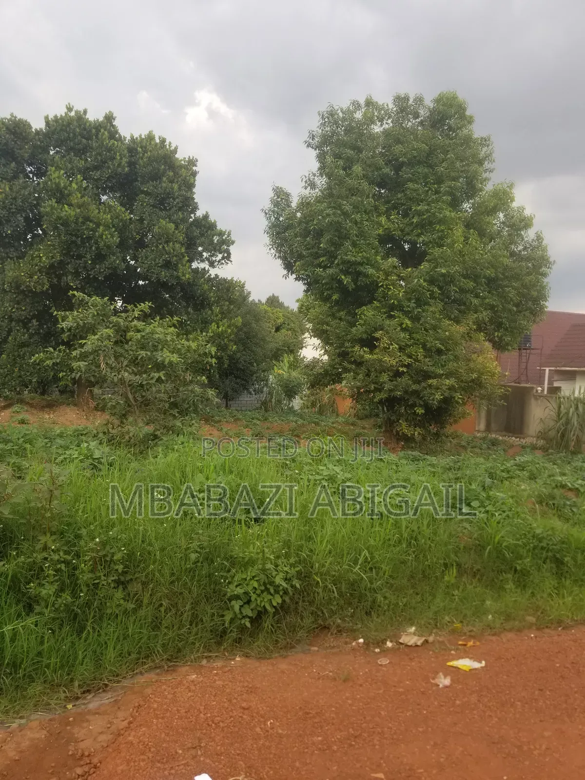 Land and Plots