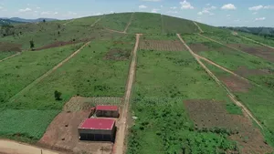 Kakiri Simbamanyo