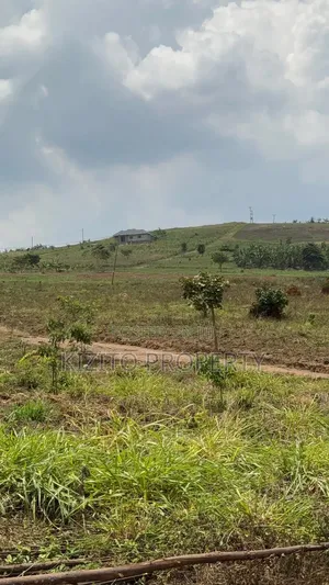Kakiri Simbamanyo
