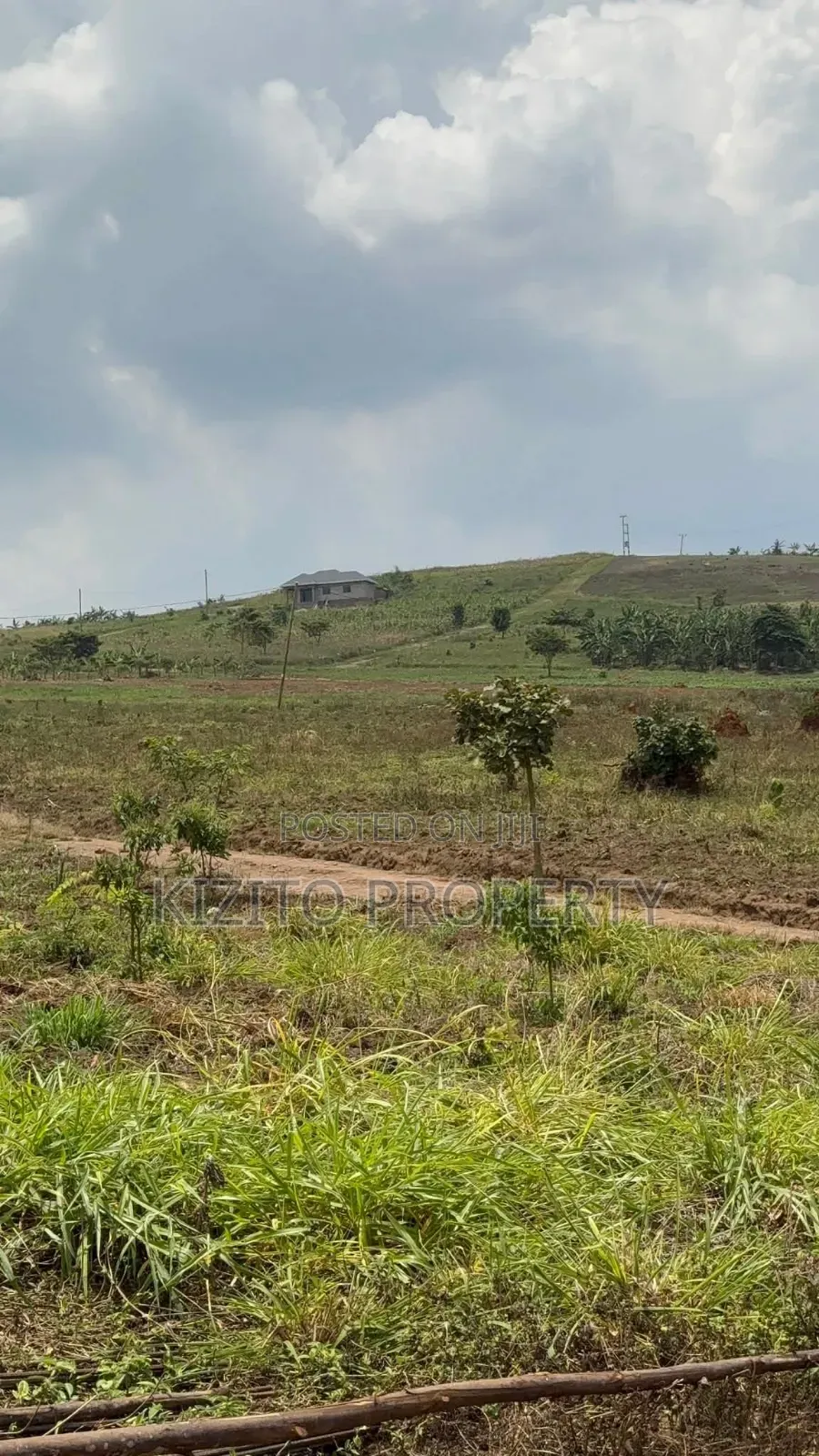 Kakiri Simbamanyo