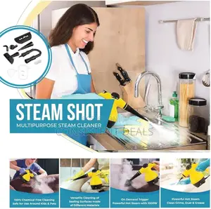 Raf  Electric  Steam Cleaner