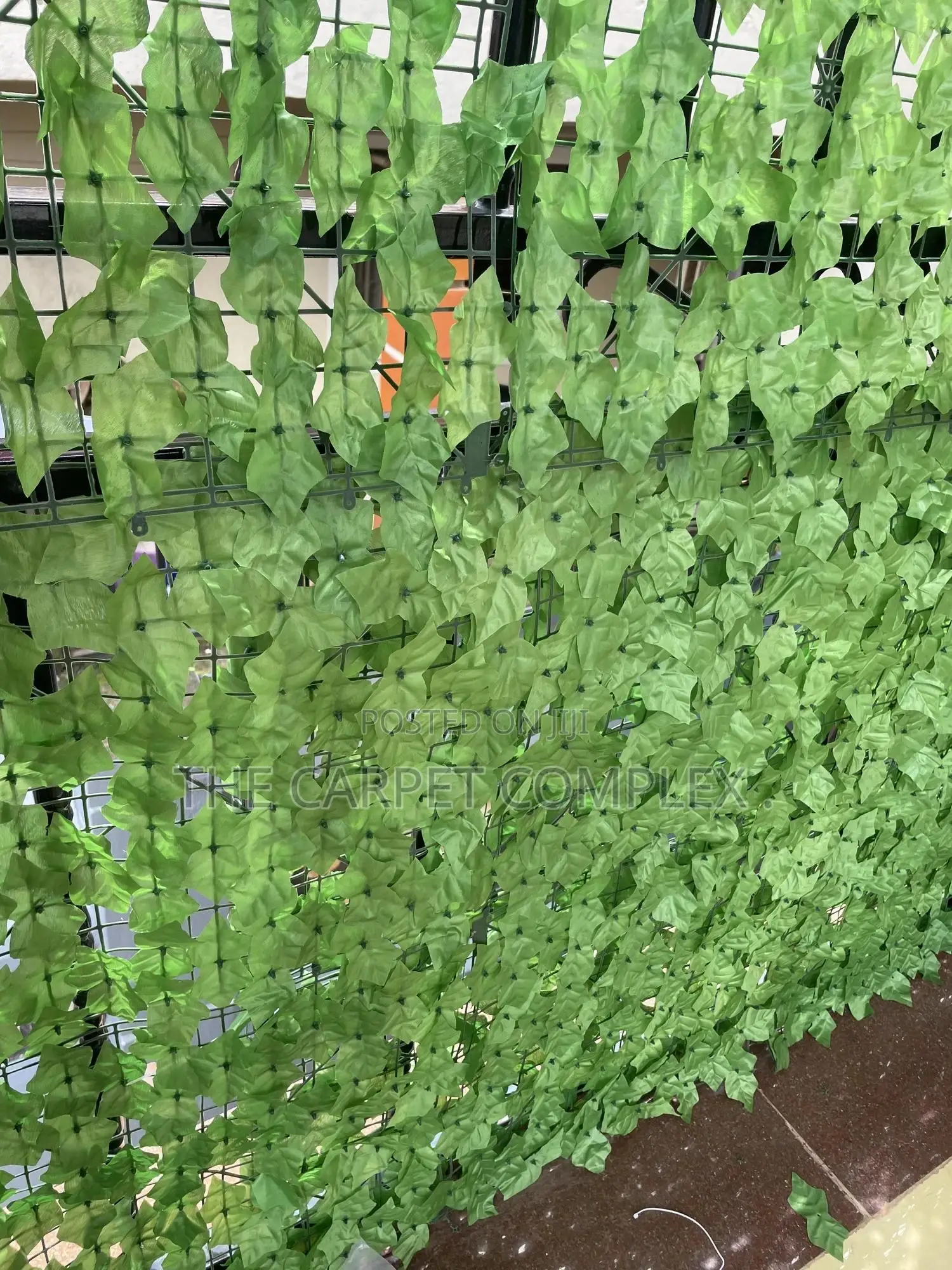 Balcony Plants Each Piece