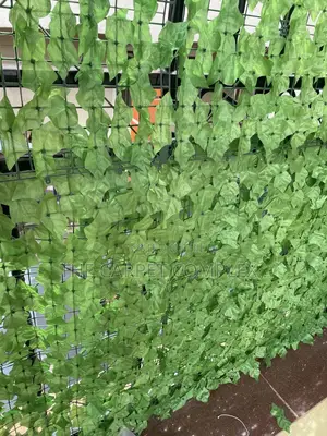 Balcony Plants Each Piece