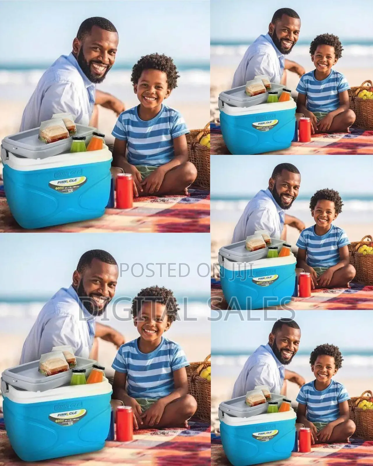Pinnacle Portable Cooler (Or Ice Chest) With an Integrated Handle.