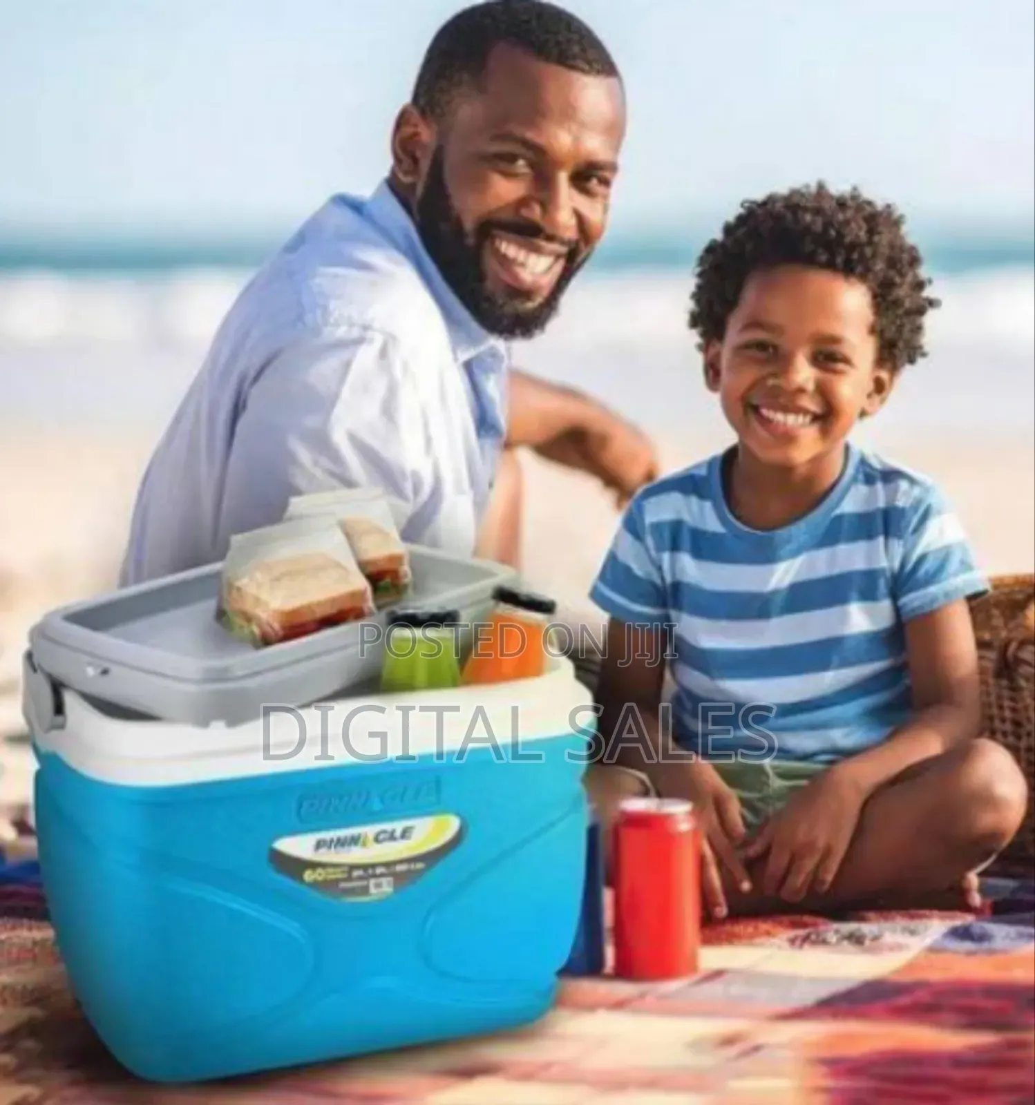 Pinnacle Portable Cooler (Or Ice Chest) With an Integrated Handle.