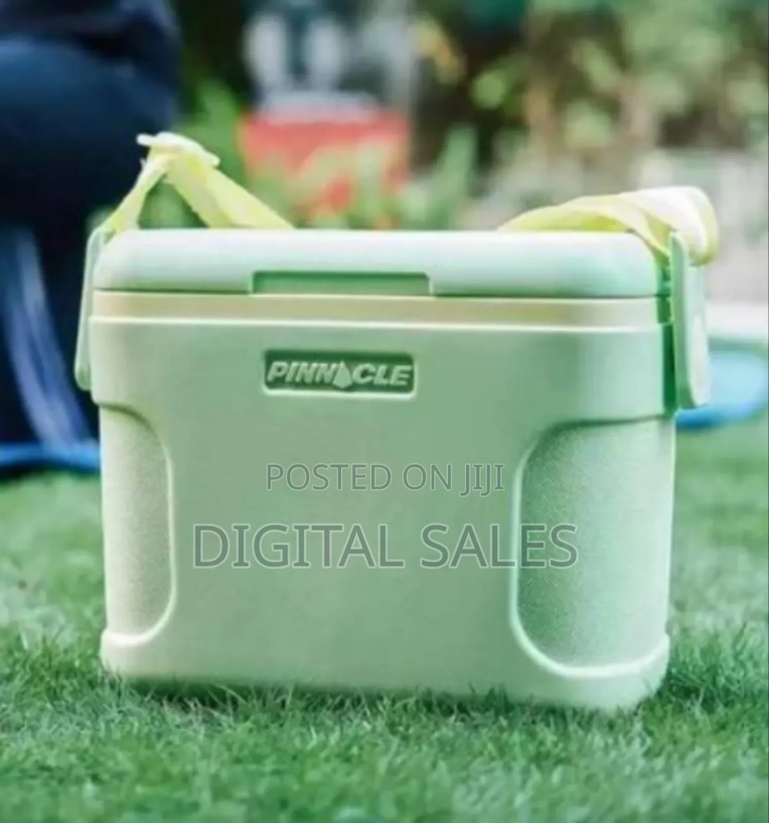 Stylish Portable Cooler With Adjustable Shoulder Strap (8l)