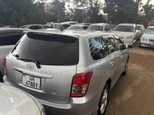 Toyota Corolla Fielder 2010 Silver