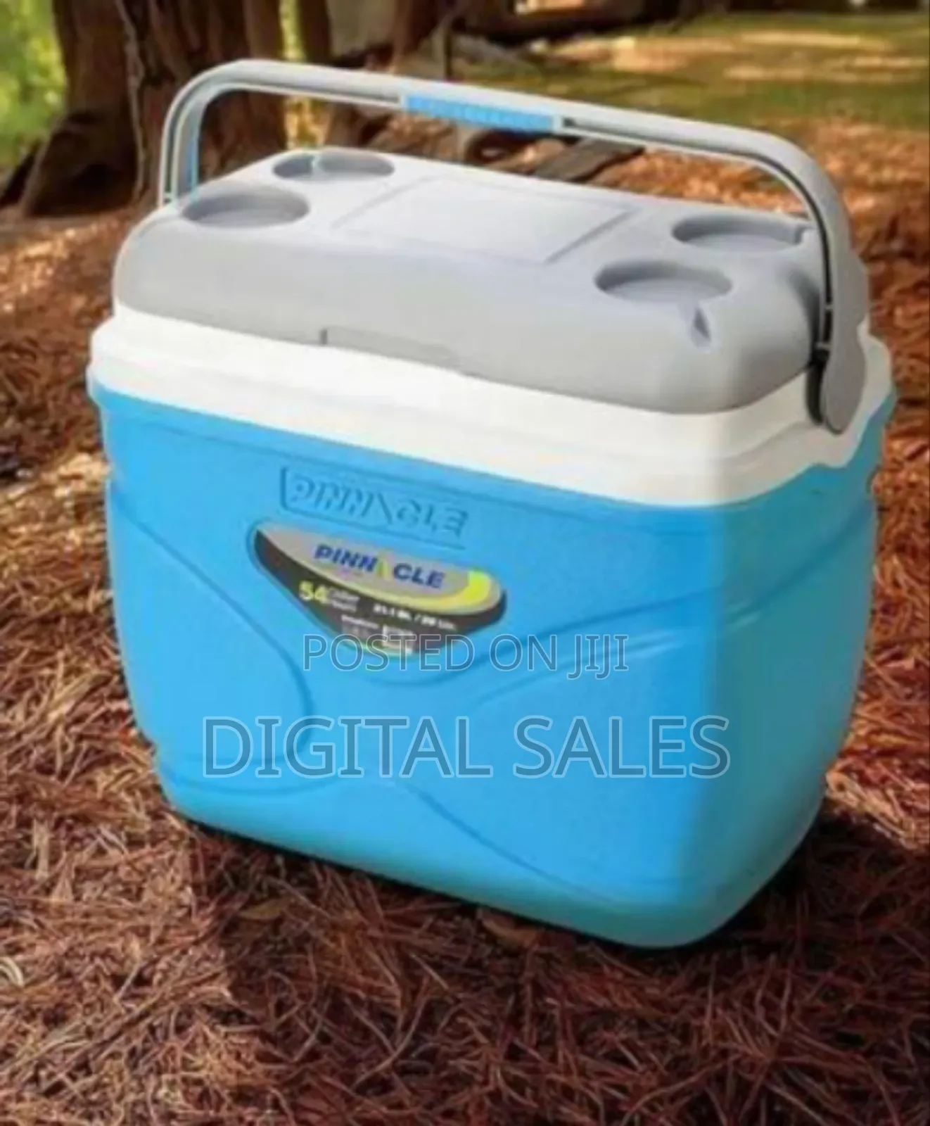 Durable And Portable Insulated Cooler Box