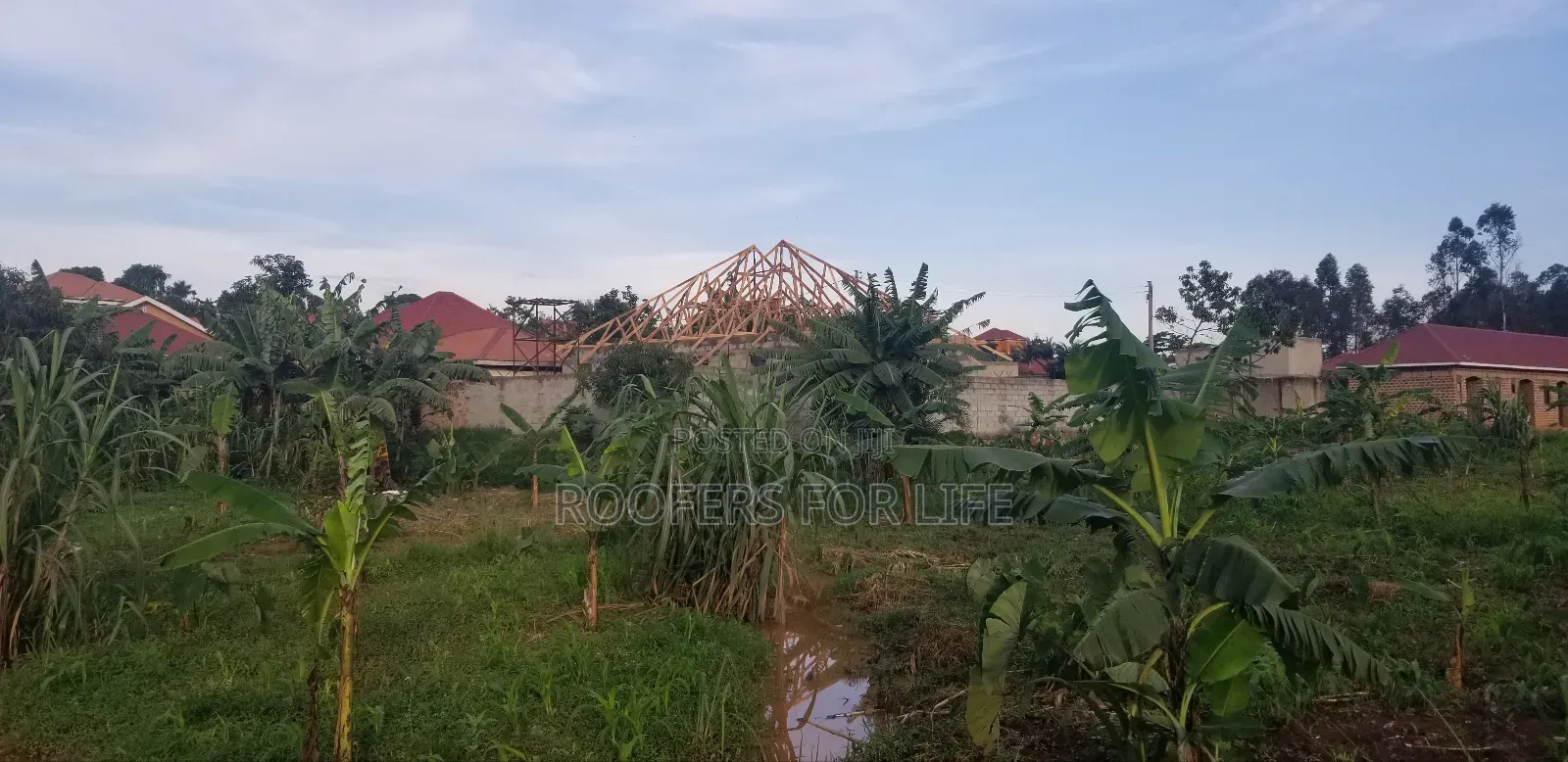 One Stop Roofing Services for the Quality of Your Dream Homestead