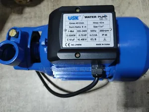 Surface Water Pump (Usk)
