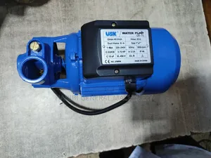 Surface Water Pump (Usk)