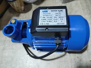 Usk Surface Water Pumps