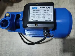 Usk Surface Water Pumps