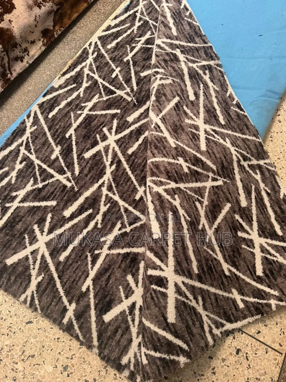 Beautiful Decorative Living Room Carpet