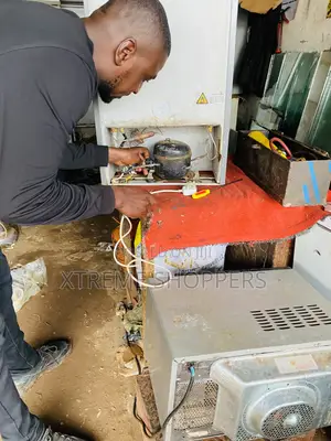 Legal Fridge Repair/Rapairing -low Costs