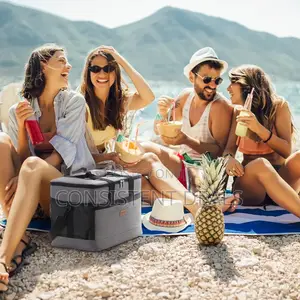 Soft Cooler Bag With Hard Liner, Large Insulated Picnic Lunch Bag