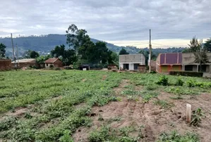 Prime Plots for Sale at Bukalango Modern Estate Along Hoima Road.