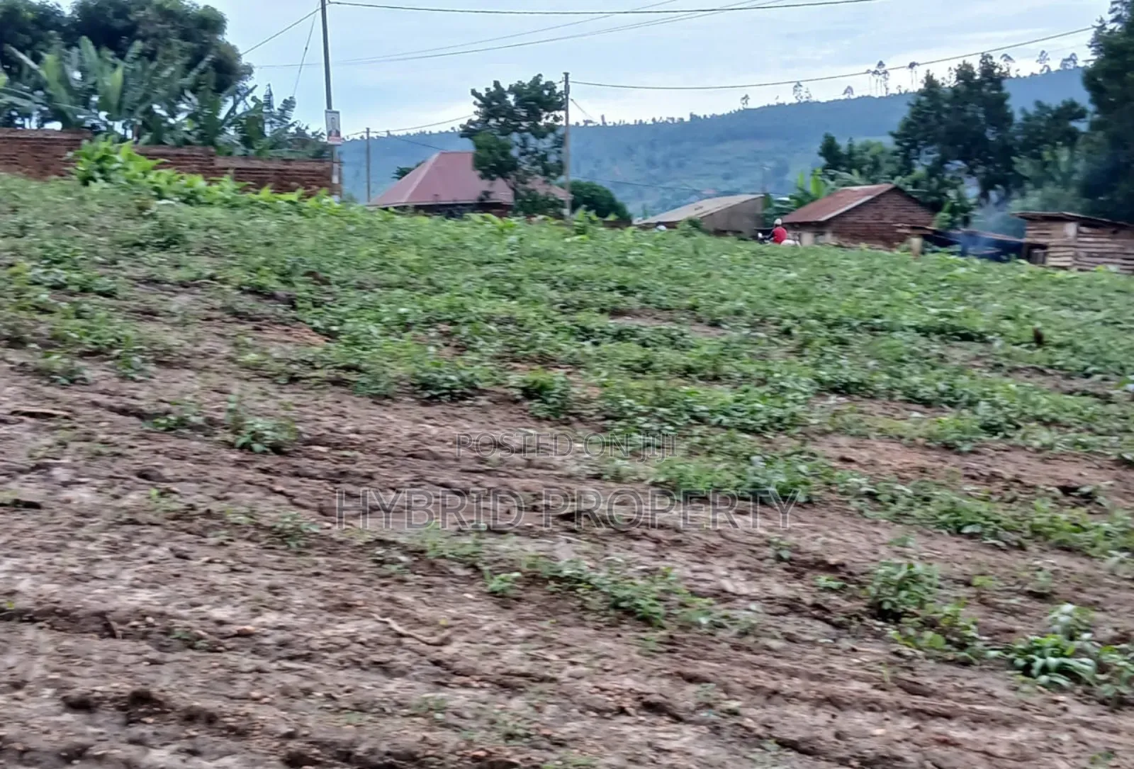 Prime Plots for Sale at Bukalango Modern Estate Along Hoima Road.