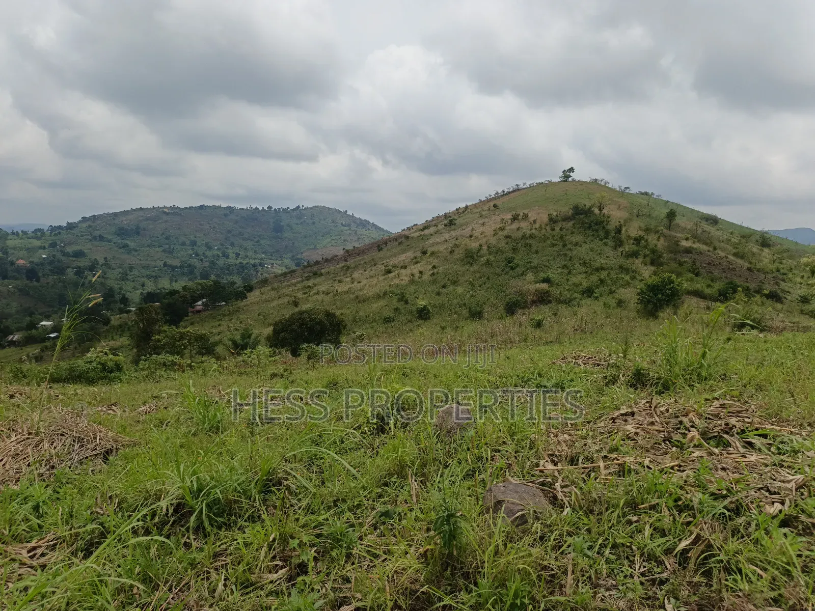 12acres of Agricultural Land on Sale in Matiri