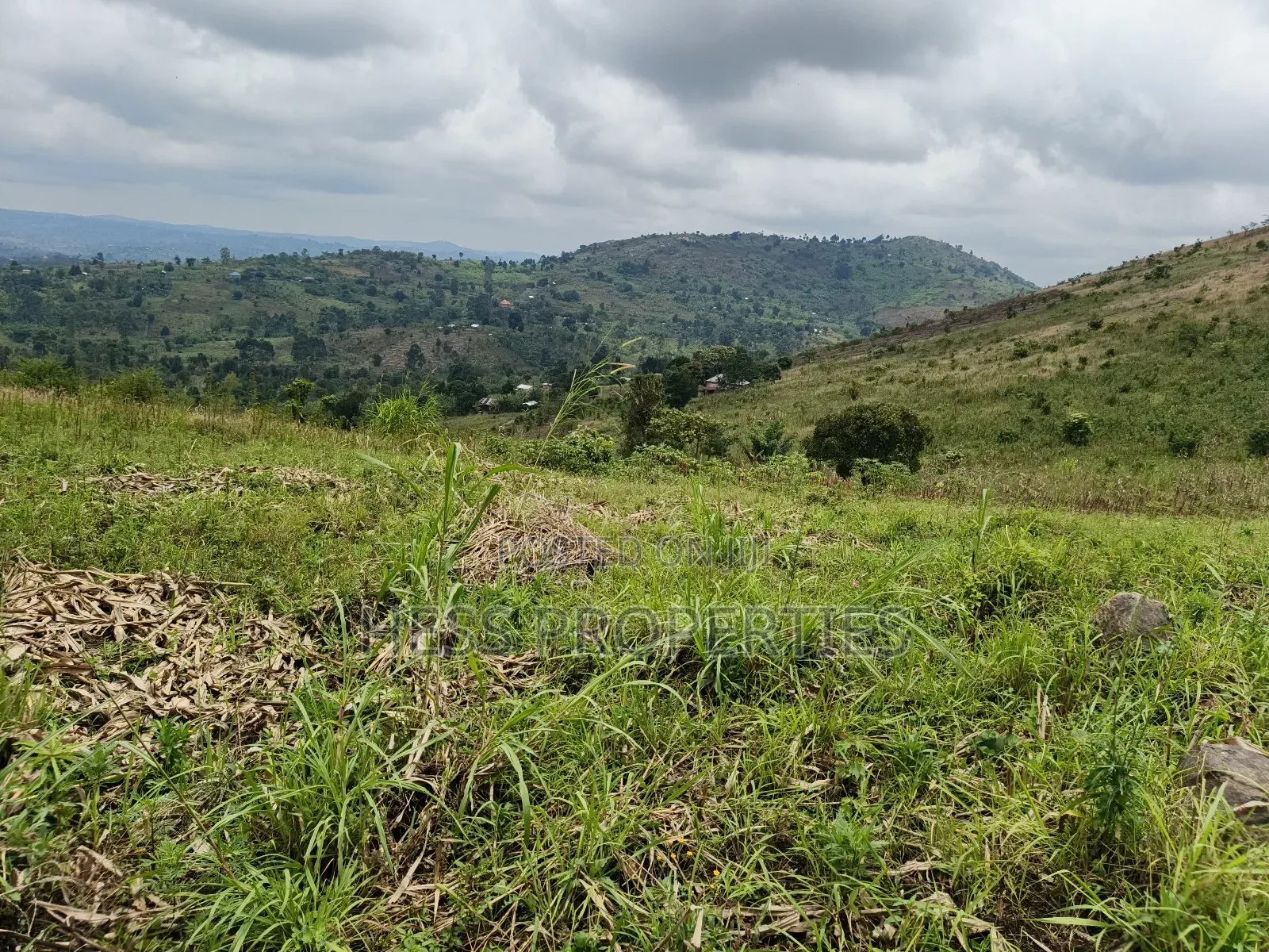 12acres of Agricultural Land on Sale in Matiri