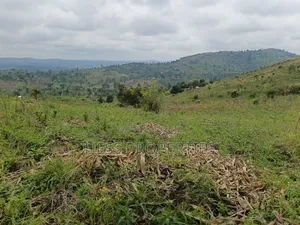 12acres of Agricultural Land on Sale in Matiri