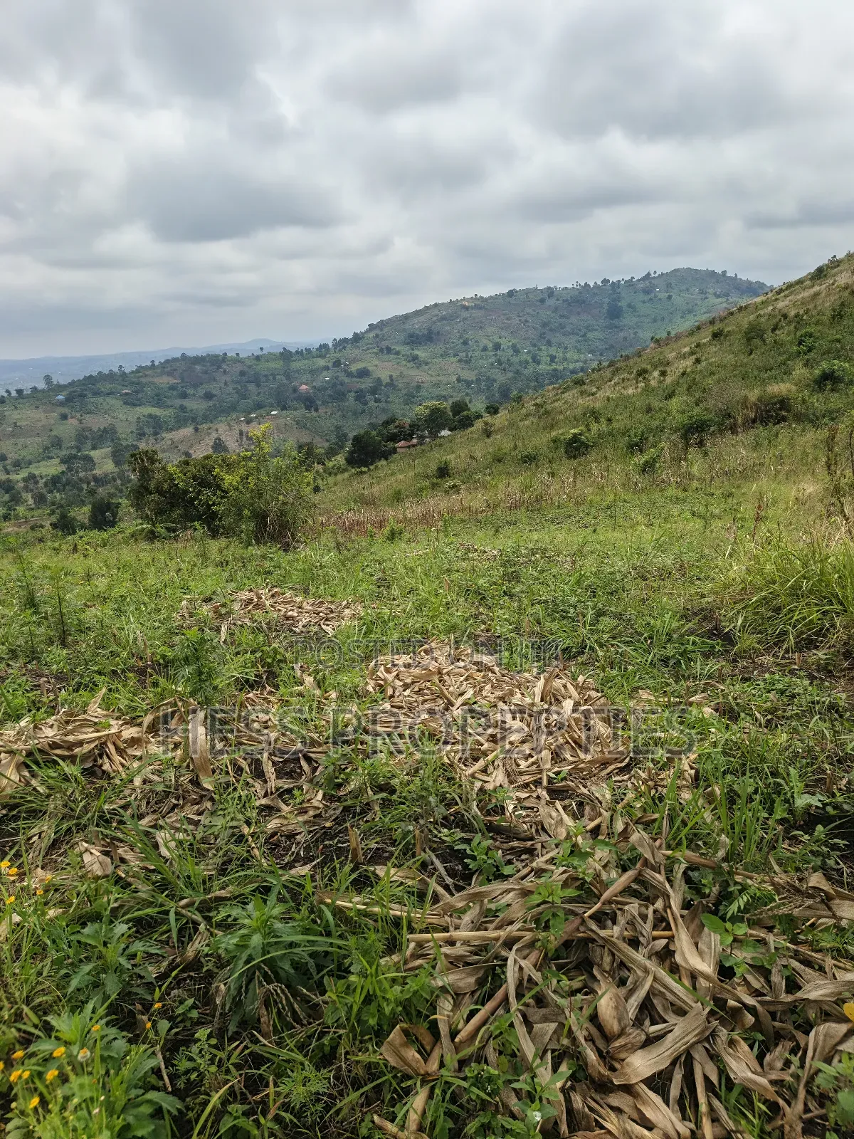 12acres of Agricultural Land on Sale in Matiri