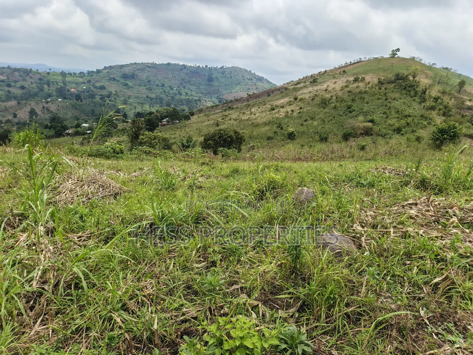 12acres of Agricultural Land on Sale in Matiri