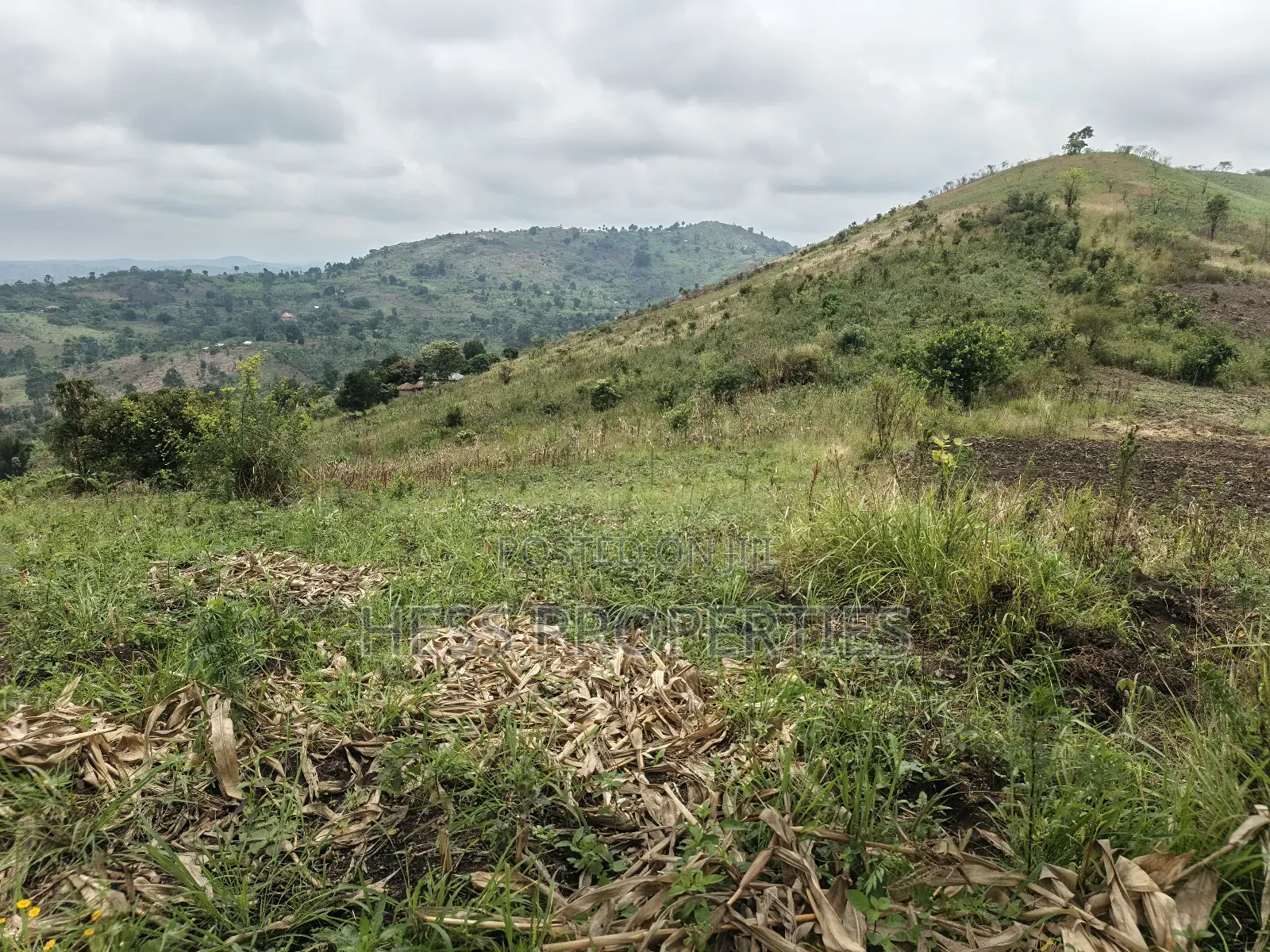 12acres of Agricultural Land on Sale in Matiri
