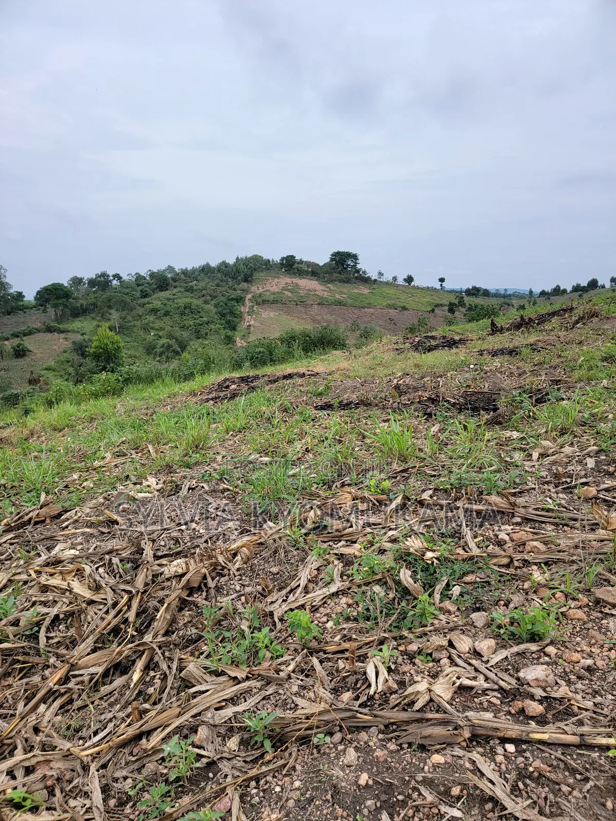 Plots for Sale