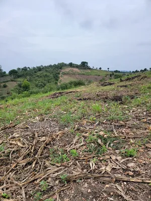 Plots for Sale