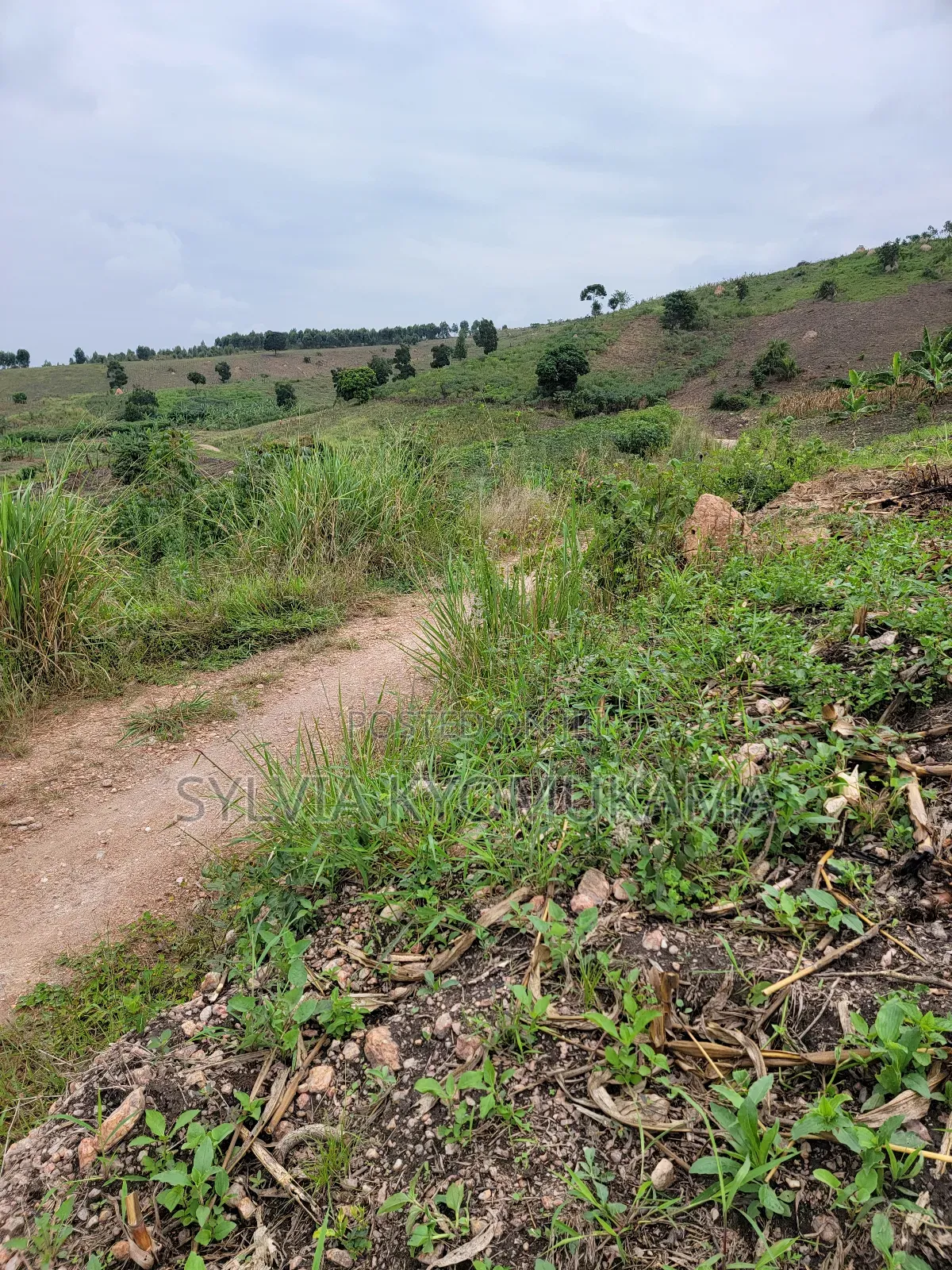 Plots for Sale