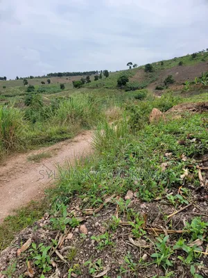 Plots for Sale