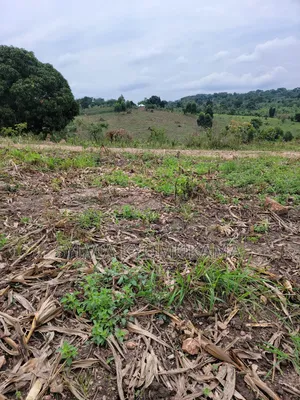 Plots for Sale